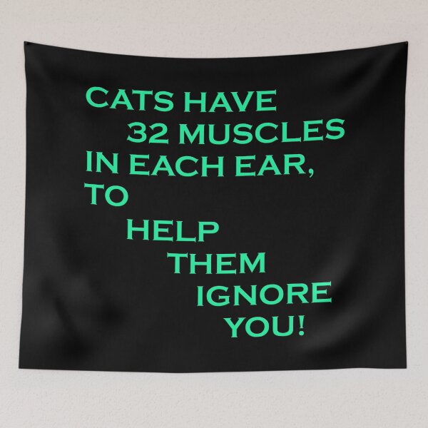 Item preview, Cats can, and will ignore you designed and sold by Hilbert72.