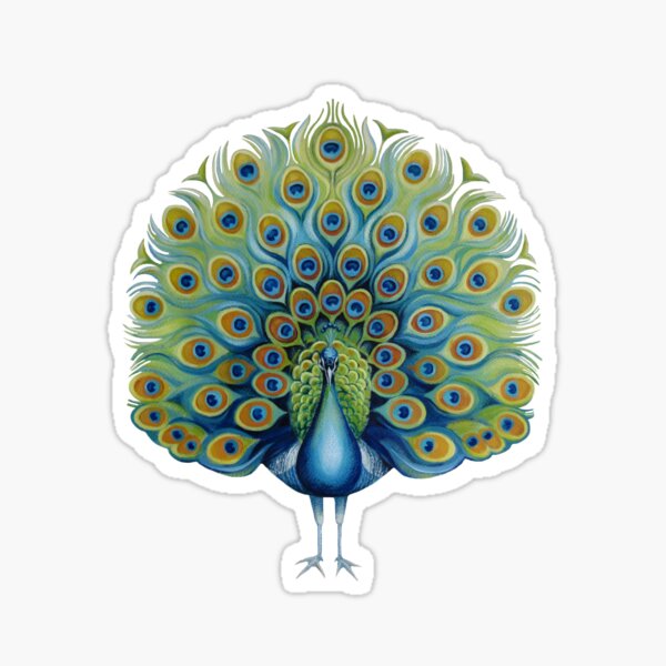 Peacock Sticker