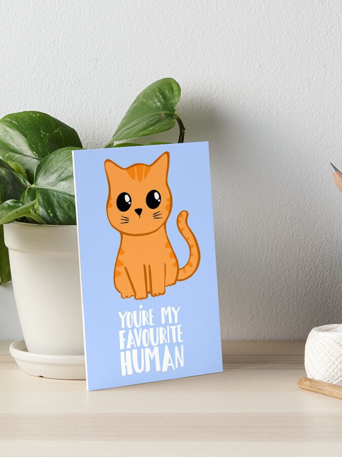 Impression Rigide Tu Es Mon Humain Prefere Ginger Cat Cadeaux Du Chat Par Jtbeginning X Redbubble