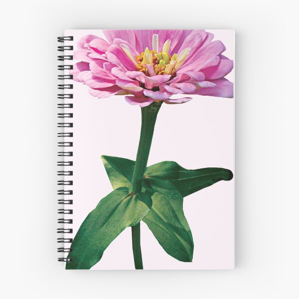 Item preview, Pale Pink Zinnia designed and sold by Susan Savad.