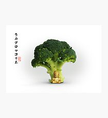 Under the Broccoli Tree Photographic Print