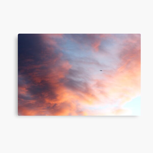 Hope Canvas Print