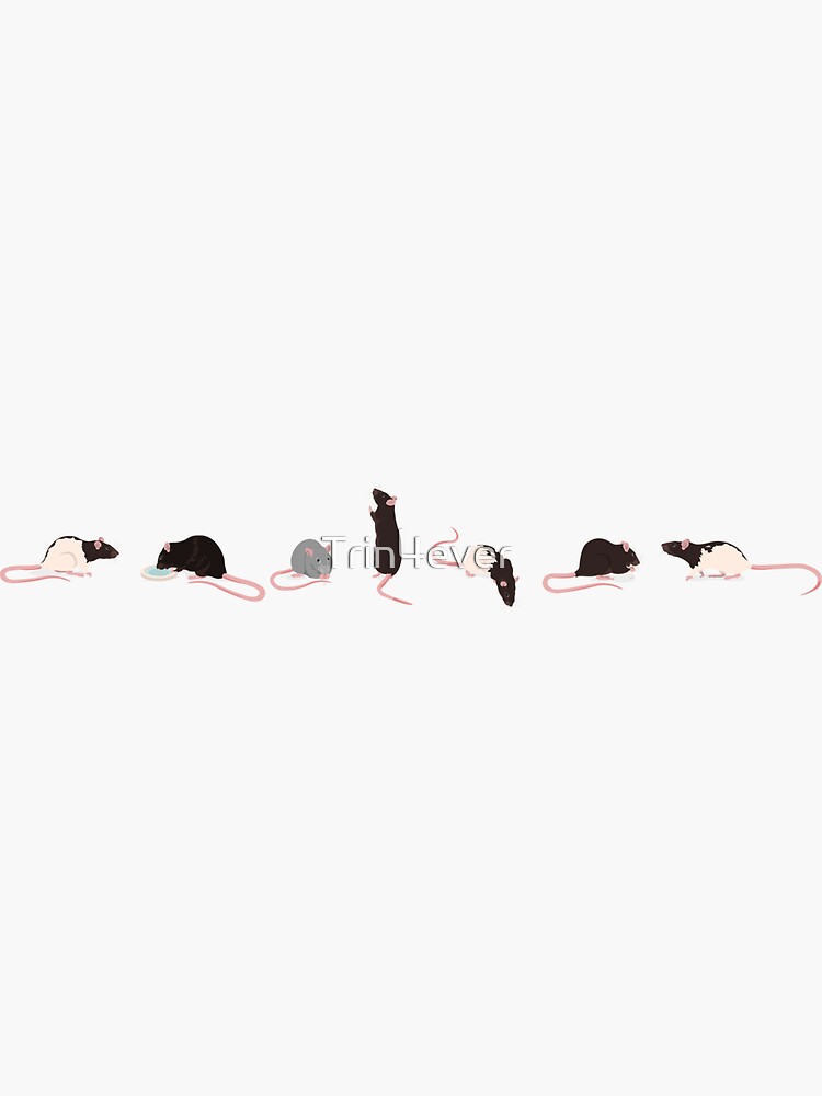 Ratties in line with light gray shadows by Trin4ever