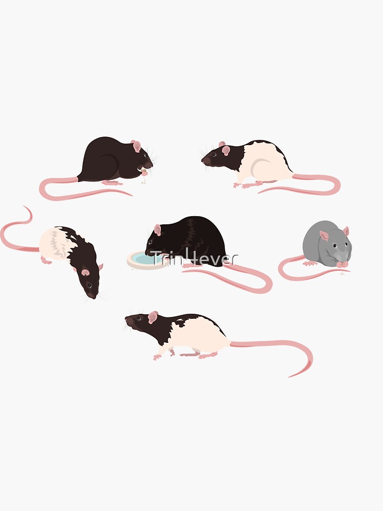 Ratties Rats by Trin4ever