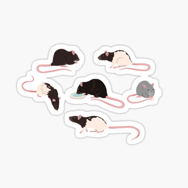 Ratties Rats Sticker