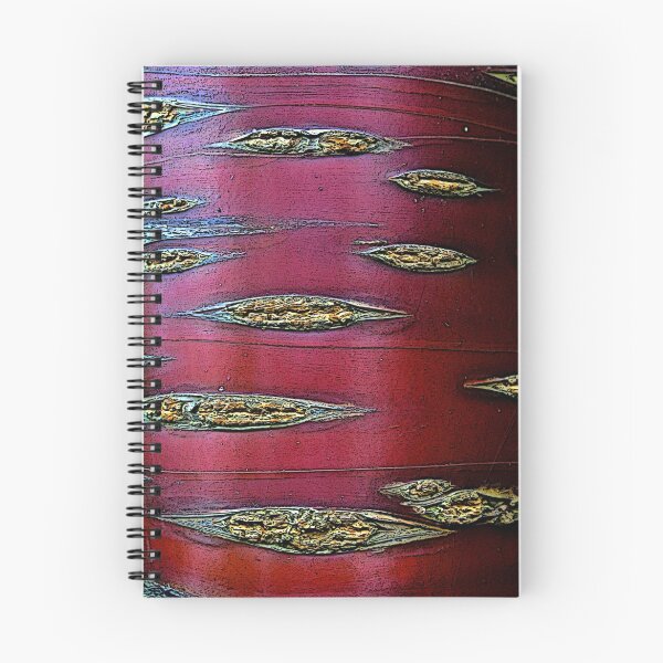 Aperçu de l'œuvre Red Bark créée et vendue par John Thurgood.