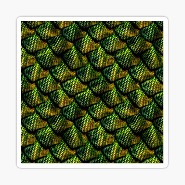 Dragon Scales 1 Sticker