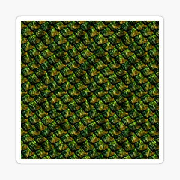 Dragon Scales 1b Sticker