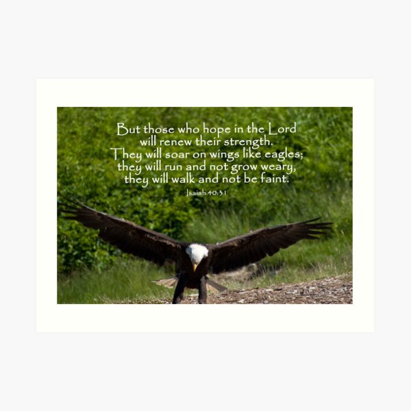 Isaiah 40:31 Art Print