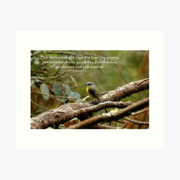 Galations 5:22 Art Print