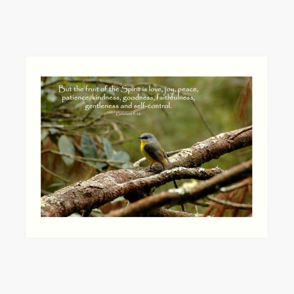 Galations 5:22 Art Print