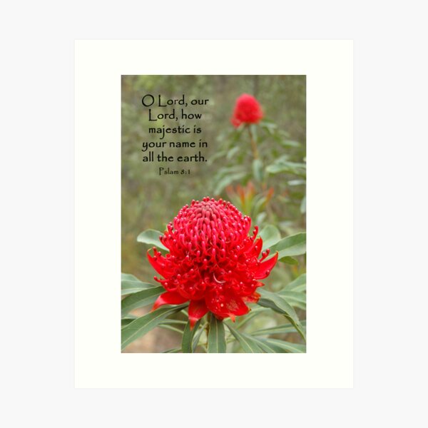 Psalm 8:1 Art Print