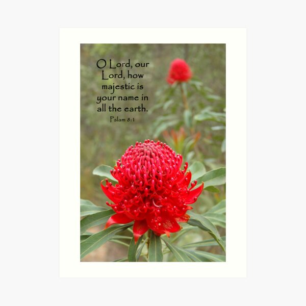 Psalm 8:1 Art Print