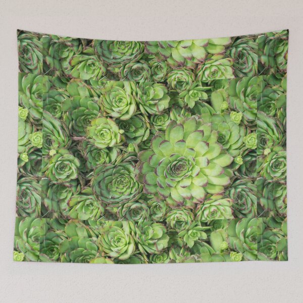 Item preview, Succulent Garden designed and sold by catgrump.