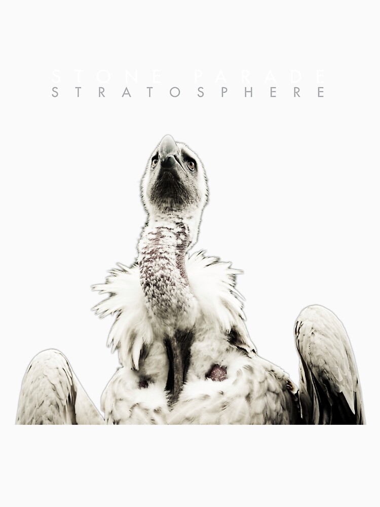 Stone Parade Vulture by stoneparade