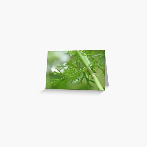 In the Herb Garden Greeting Card