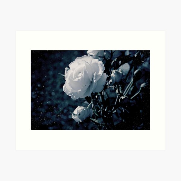 Aperçu de l'œuvre Moonflower créée et vendue par ilva.