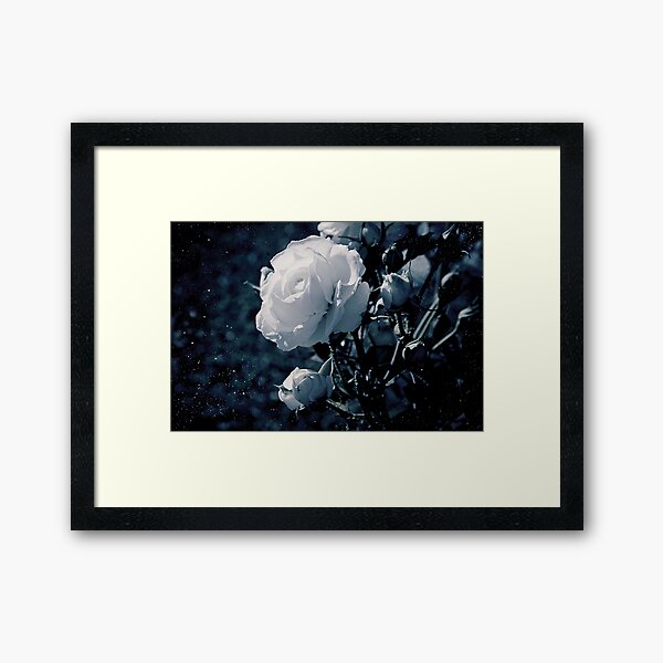 Aperçu de l'œuvre Moonflower créée et vendue par ilva.