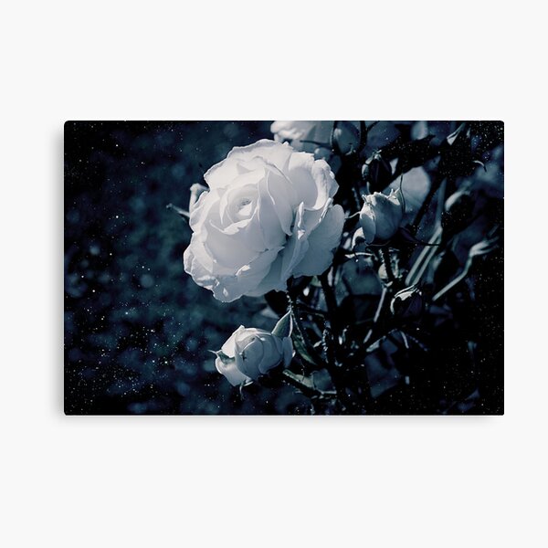 Aperçu de l'œuvre Moonflower créée et vendue par ilva.