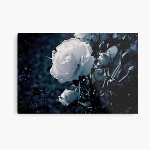 Aperçu de l'œuvre Moonflower créée et vendue par ilva.