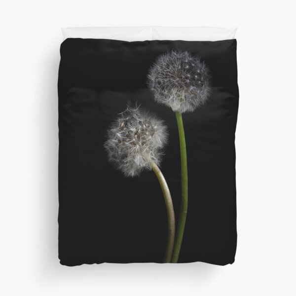 Two Dandelion Clocks Duvet Cover