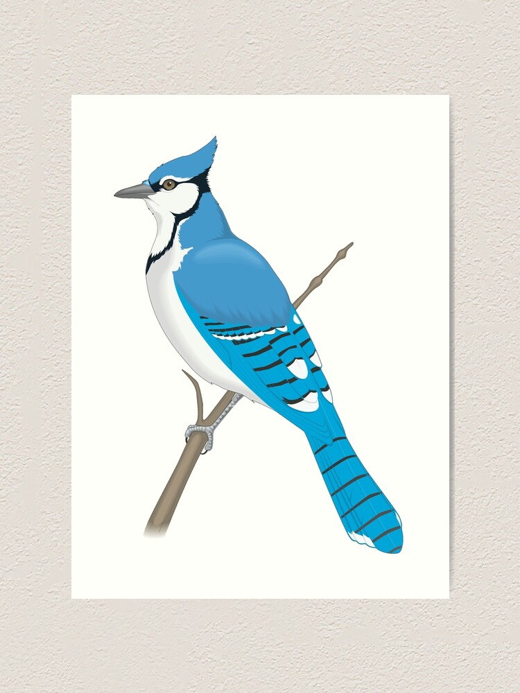 Original Bird Oil Painting Blue Jay, Canvas Painting, Oil On Canvas Pa –  georgemillerart
