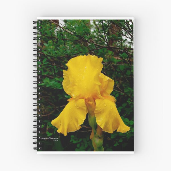 Item preview, Yellow Beauty designed and sold by Susan Vinson.