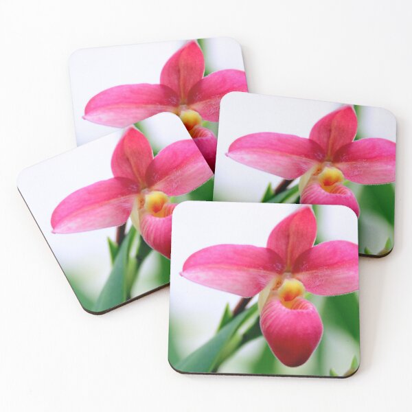 Item preview, Perfectly Pink designed and sold by Michael May.