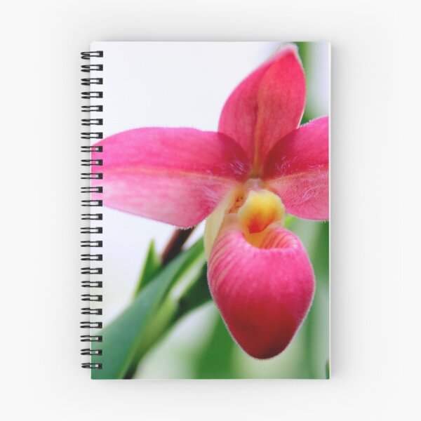 Item preview, Perfectly Pink designed and sold by Michael May.