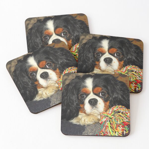 Item preview, Tri-Colour Cavalier King Charles Spaniel. designed and sold by Billlee.