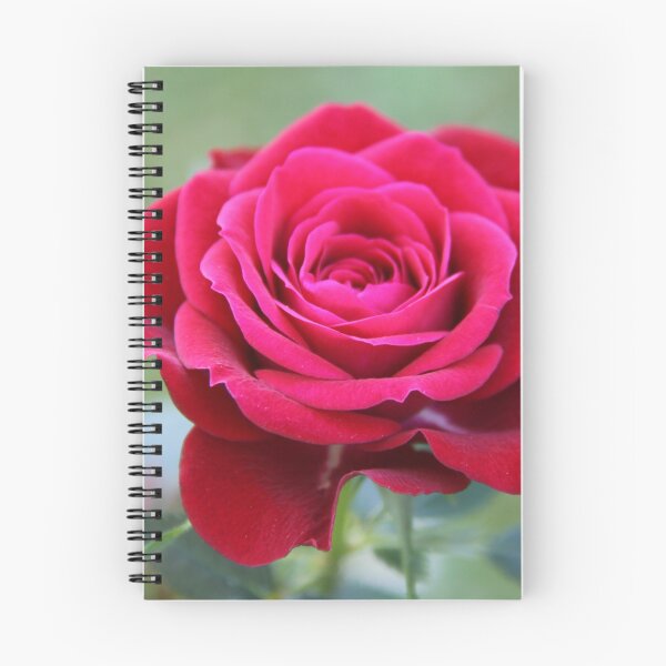 Item preview, That's Amore designed and sold by coffeebean.