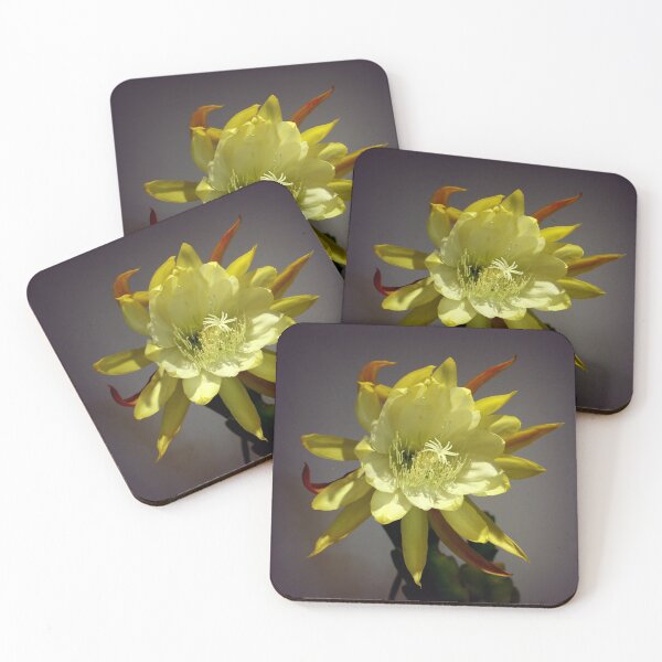 Item preview, What's For Dinnerplate? designed and sold by Michael May.