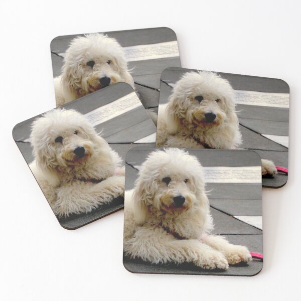 Item preview, See My New Paw-dicure? designed and sold by Michael May.