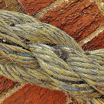 Artwork thumbnail, Old Rope by Fara