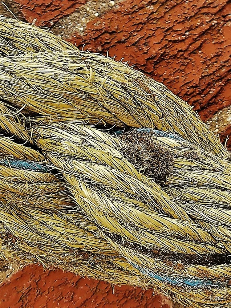 Thumbnail 4 of 4, Samsung Galaxy Phone Case, Old Rope designed and sold by Fara.