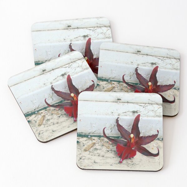 Item preview, Web Decor-um designed and sold by Michael May.