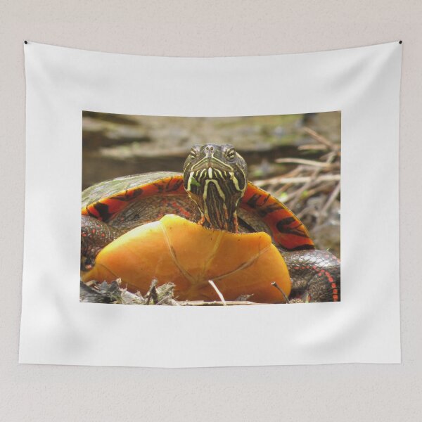 Item preview, PAINTED TURTLE - RESEMBLANCE OF E.T. designed and sold by Monica-Stroud.