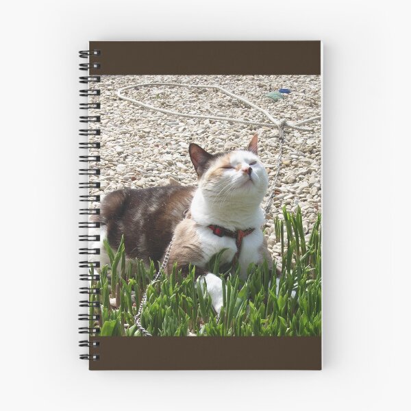 Item preview, Le Chat designed and sold by coffeebean.