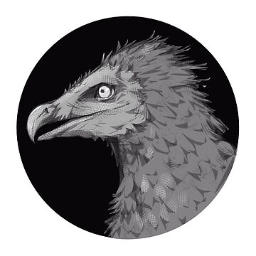 Artwork thumbnail, Argentavis - Prehistoric Bird (Dododex for Ark: Survival Evolved) by dododex