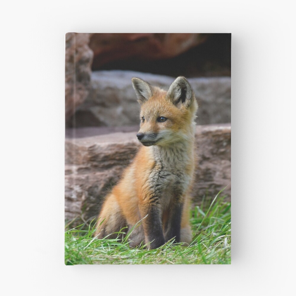 Item preview, Hardcover Journal designed and sold by Lostbear.