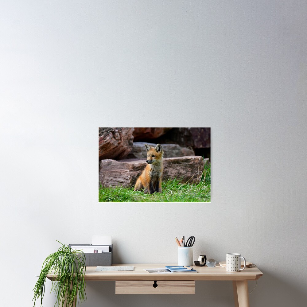Item preview, Poster designed and sold by Lostbear.
