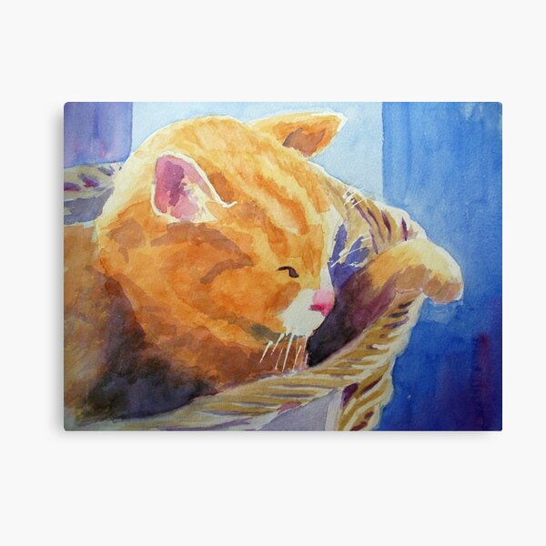 Tom's spot Canvas Print