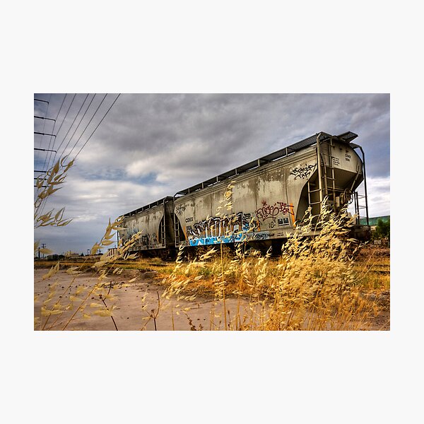 Whispers of the Rail Photographic Print