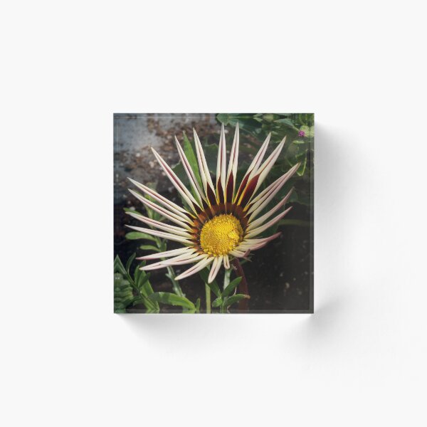 Item preview, Flower Close Up designed and sold by Hvll1116.