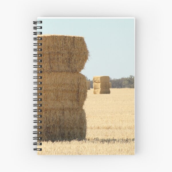 Item preview, Needle in a Haystack designed and sold by Jane McDougall.