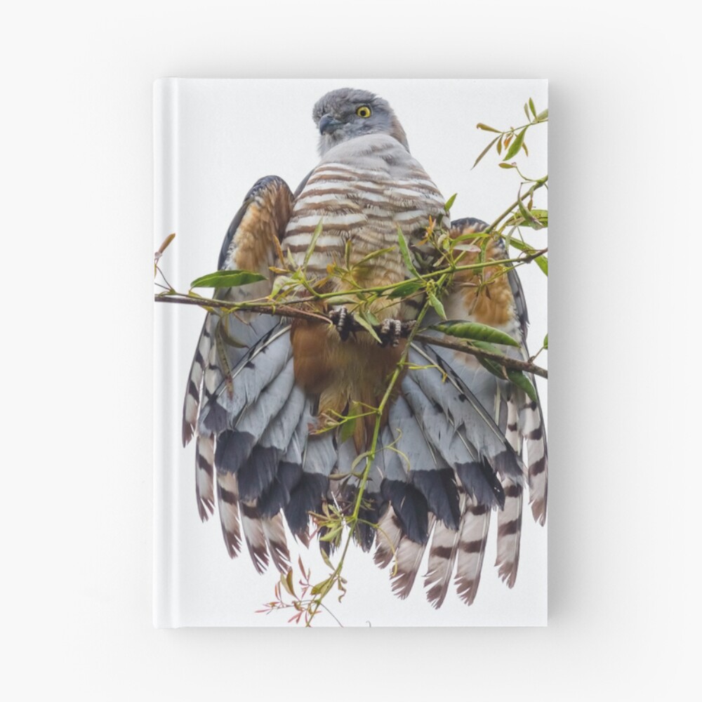 Item preview, Hardcover Journal designed and sold by TealeBritstra.
