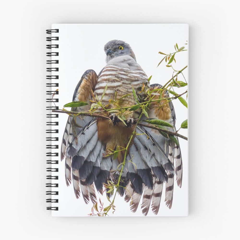 Item preview, Spiral Notebook designed and sold by TealeBritstra.