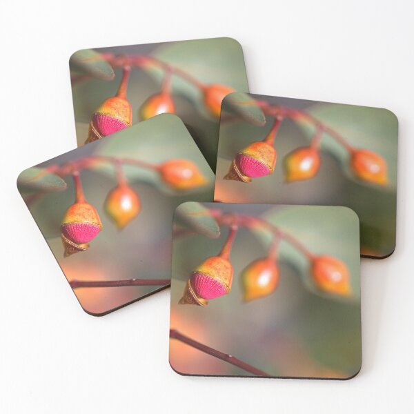 Item preview, Eucalyptus Buds and Progress designed and sold by Joy Watson - Natural Light Photography .