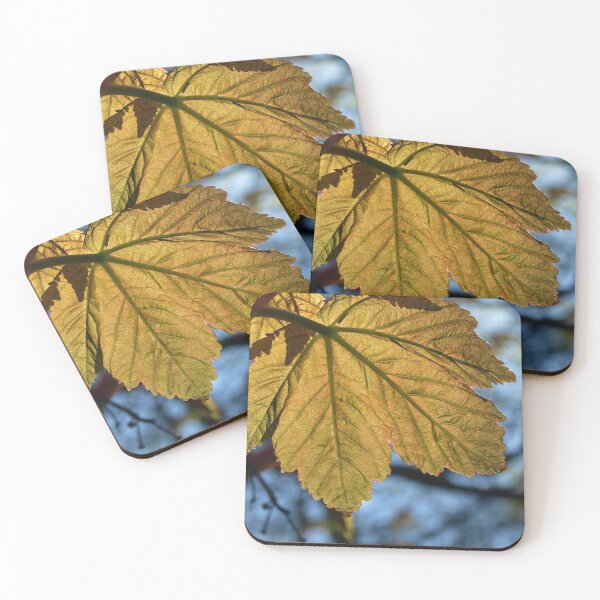 Item preview, TRANSLUCENT SYCAMORE LEAF designed and sold by Richard Brookes Photography.