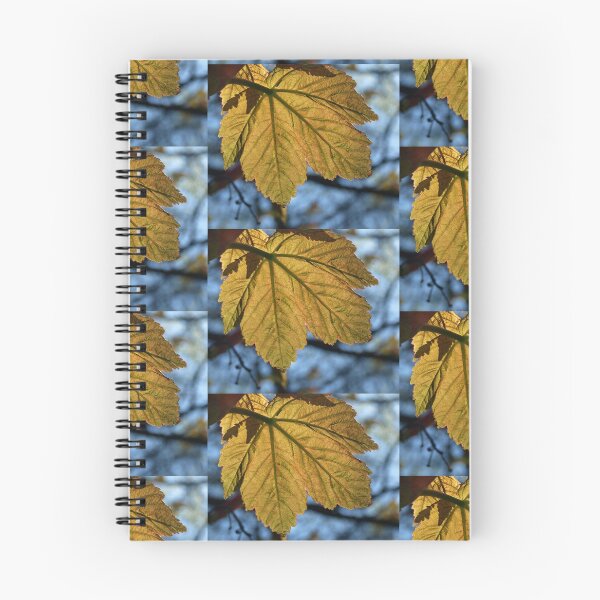 Item preview, TRANSLUCENT SYCAMORE LEAF designed and sold by Richard Brookes Photography.